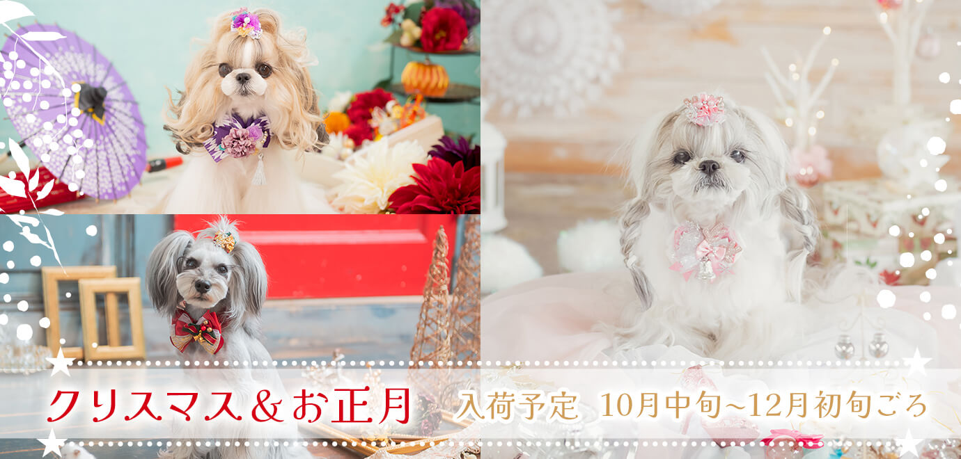 犬服の通販ショップ『きゃんナナ』– 卸会員専用サイト / トップページ